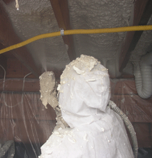 Henderson NV crawl space insulation